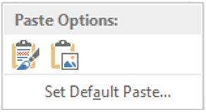 Paste options for images