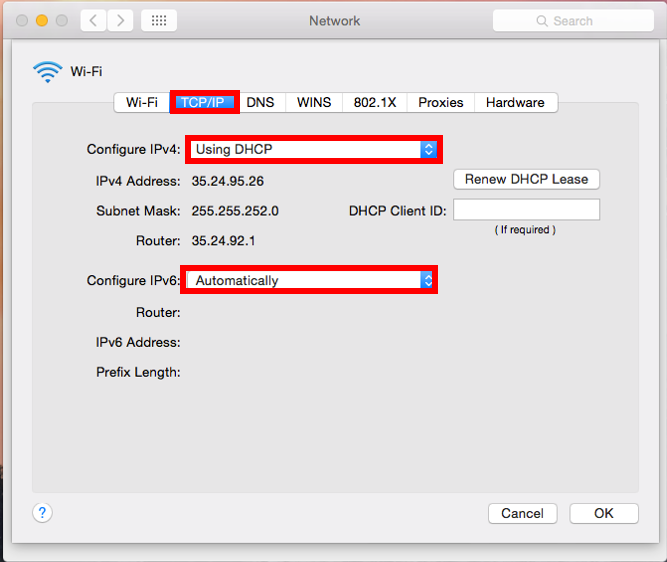 dns address mac