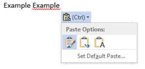 Paste options for text